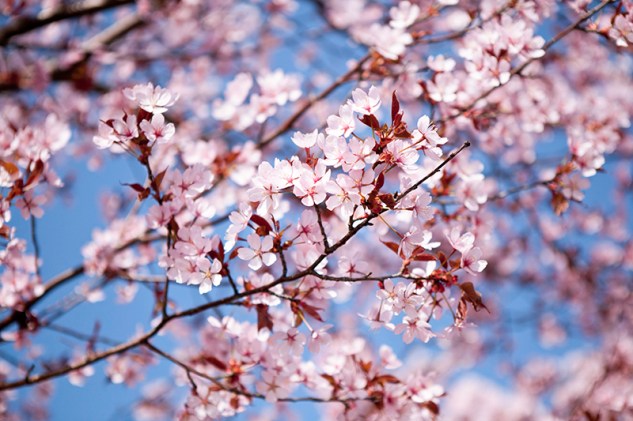 20110423-_MG_4781_800